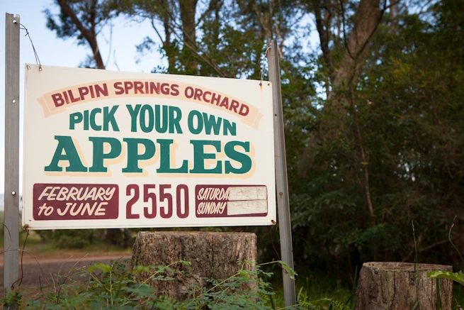 BilpinApplePicking-10